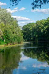 River flows along banks with grass and green trees at sunset. River and trees landscape
