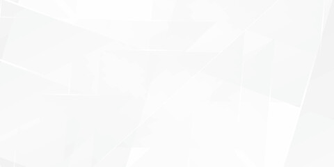 Fototapeta premium Abstract white and gray background. smooth abstract background, blurred pattern. Light pale vector background. Abstract pale geometric pattern eps 10