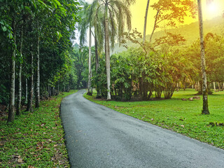 A long asphalt road leads into a garden of green trees.