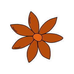 Star anise, cooking or baking ingredient design element, vector