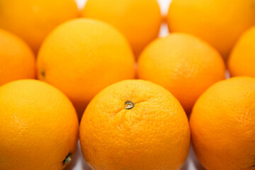 oranges on a white background fruit photography
