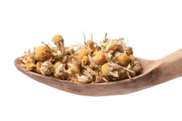  chamomile tea plant on wooden spoon, png file