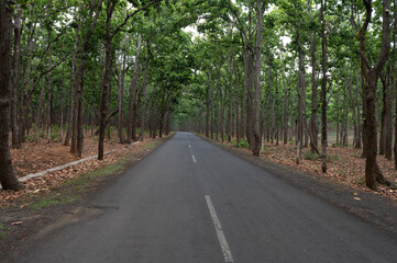 Amarkantak , India - 25 May 2024 Rough road in the forest at Anuppur Madhya Pradesh India