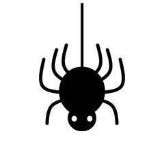 halloween spider on a white background