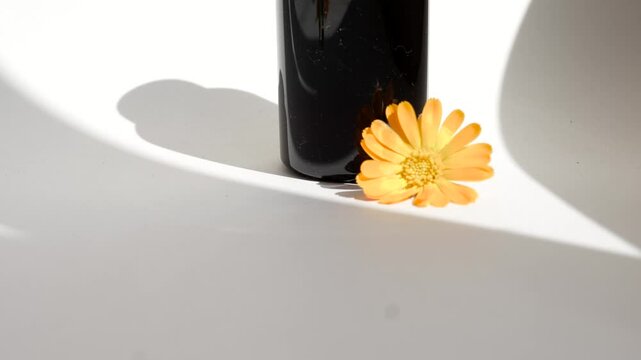 Bottle with calendula essencial oil.