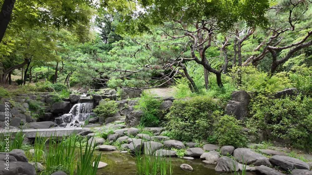 Wall mural Summer of Namsangol Park in Seoul, Korea