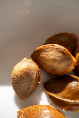 peach pit in close-up