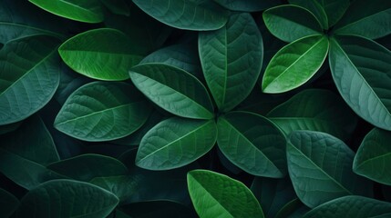 Fototapeta premium Green Leaf Texture Pattern