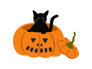 Black cat in carved pumpkin vector illustration. Hand drawn cute and spooky Halloween design for seasonal October 31 cards, print, holiday decoration. Autumn Jack-o-lantern and witch cat