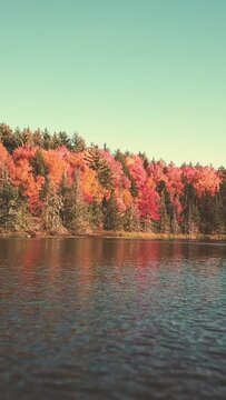 4K vertical drone video colorful fall foliage autumn leaves and forest and lake pond in the mountains of Vermont, New England.