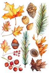 Autumn Leaves and Nuts
