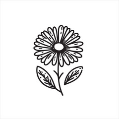Daisy flower black silhouette isolated on a white background.