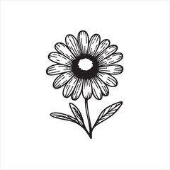 Daisy flower black silhouette isolated on a white background.