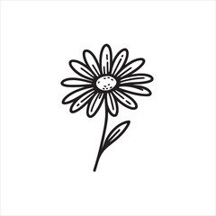 Daisy flower black silhouette isolated on a white background.