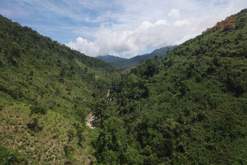 Fototapeta premium the tree mountain view before from banahill cable car