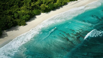 An aerial view of a secluded white sand beach with turquoise waters and lush green vegetation, a single surfboard marking the spot of a surfer riding a wave.