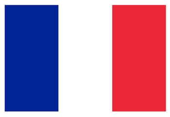 French national pride. French flag flat vector illustration.