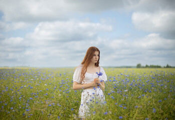 A girl with long curly red hair in white clothes stands in a meadow with cornflowers, holding a bouquet of cornflowers in her hands, summer day, cloudy warm weather
