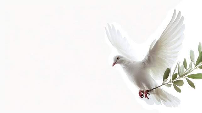 Majestic white dove carrying an olive branch, conveying a message of peace, with a blank white background for text placement