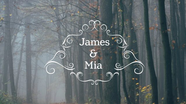 Minimal Elegant Wedding Title 05