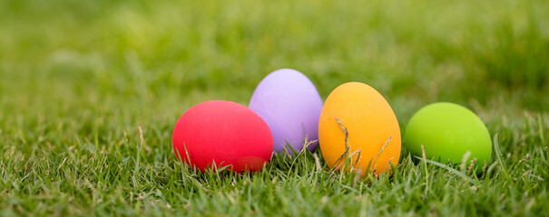Colorful Easter eggs background. holiday, Easter background. Colorful Easter eggs on the green garden yard. symbol of Easter's day festival. vivid color natural background. festive wallpaper.