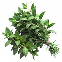 3D render of a bundle of fresh savory herbs, ideal for enhancing the flavor of various dishes.