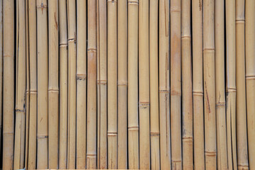 Bamboo Screen Elegance. Sleek bamboo screen offers natural texture and pattern.