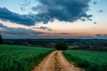 Obraz premium Hatay Altinozu Turkiye Serene Country Road at Sunset Through Lush Fields. A picturesque dirt road winds through a vibrant green field at the base of rolling hills. Turkey 