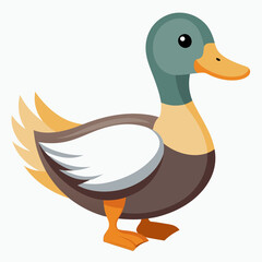 A cartoon duck on a white background displaying its artistic feathered features