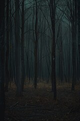 Obraz premium Dark Forest Landscape