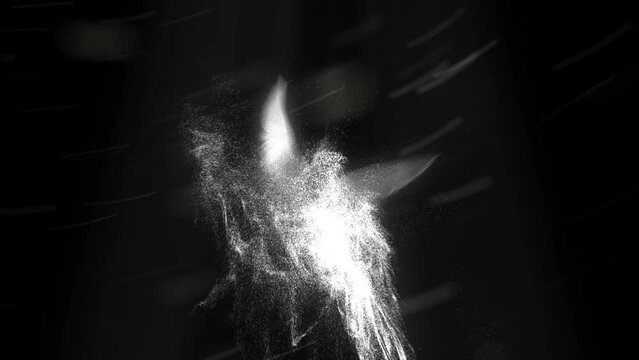 Fire Phoenix Flame Animation. Logo Intro Animation Flame. Phoenix white Flame Logo