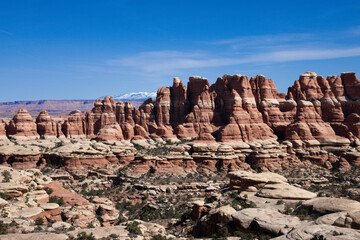 Fototapeta premium A breathtaking aerial view of the Needles rock formations in Canyonlands National Park, Utah. The image captures the striking red rock formations and expansive desert landscape - USA