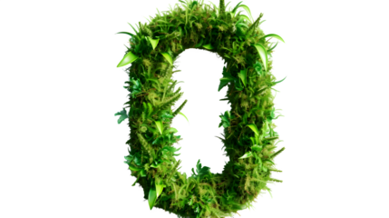 Digit 0 made with grass, PNG file, transparent background, isolated on white