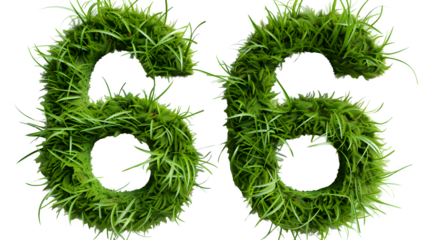 Digit 66 made with grass, PNG file, transparent background, isolated on white