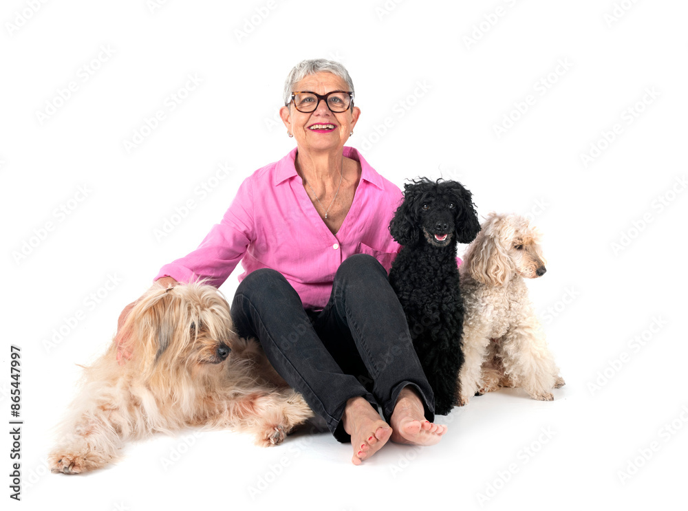 Poster dogs and woman in studio