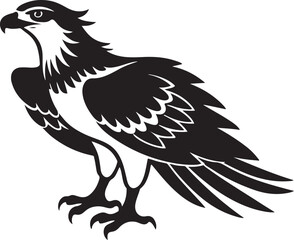 black osprey bird graphics silhouette vector illustration design