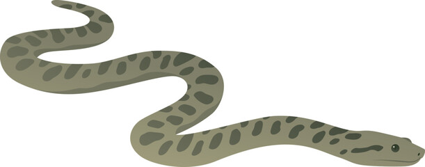 Green anaconda vector illustration. Wild giant snake isolated on white background. Water boa and nonvenomous carnivore reptile. Wildlife of South America.