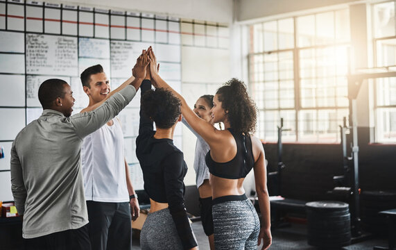 Gym, goals and group of people in high five for fitness, diversity and support in workout community. Exercise, solidarity and team building with happy motivation with men, women and training together