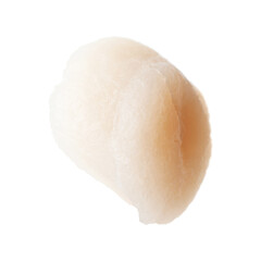One fresh raw scallop isolated on white