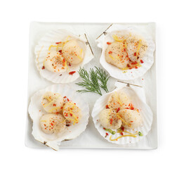 Raw scallops with spices, lemon zest, dill and shells isolated on white, top view