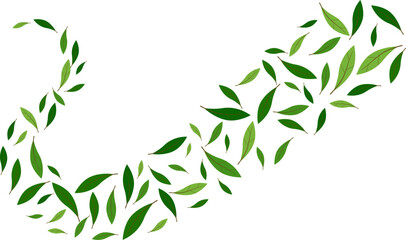 Nature floating green leaves flying decoration freshening greenery ecology illustration