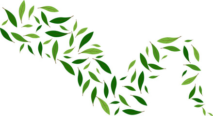 floating green leaves isolated on a transparent background. Greenery ecology illustration