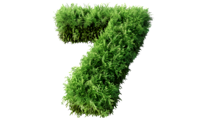 Digit 7 made with grass, PNG file, transparent background, isolated on white