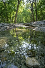 Fototapeta premium Learn about the guardians of the aquifer, dedicated to protecting and managing crucial water resources sustainably.