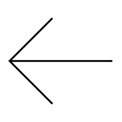 Direction Arrow Line Icon