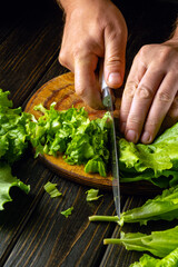 Chef cutting green fresh lettuce leaves on a cutting board with a knife. Vegetarian menu for a restaurant or hotel