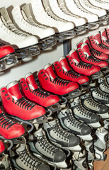 Ice skate rental for training and public skating.