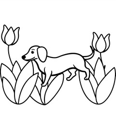 Dachshund Dog Coloring Page for Kids