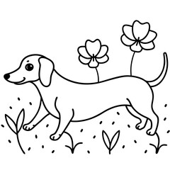 Dachshund Dog Coloring Page for Kids