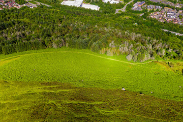 Top down view of forest, trees and houses in the South Wales Valleys (Ebbw Vale)